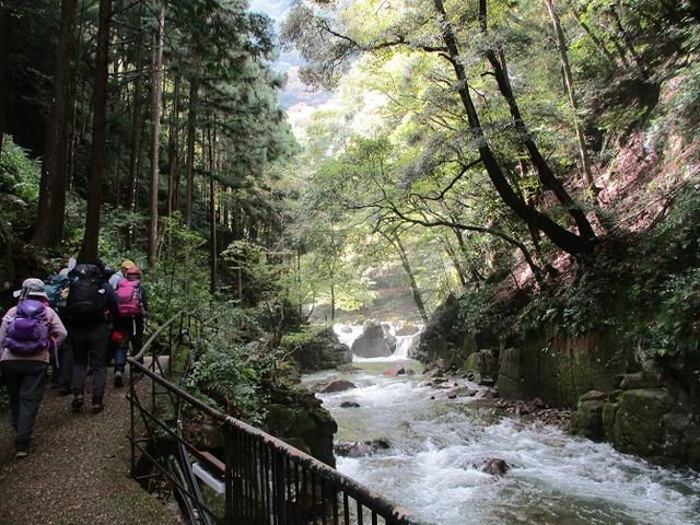 画像2: 10月22日から 大台ヶ原 ツアーに行ってきました!