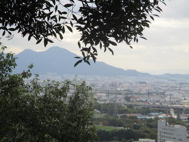 画像10: 10月22日から 大台ヶ原 ツアーに行ってきました!