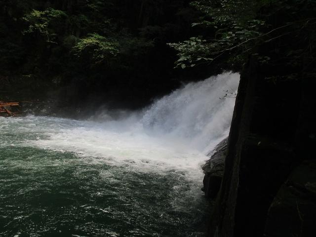 画像6: 10月22日から 大台ヶ原 ツアーに行ってきました!