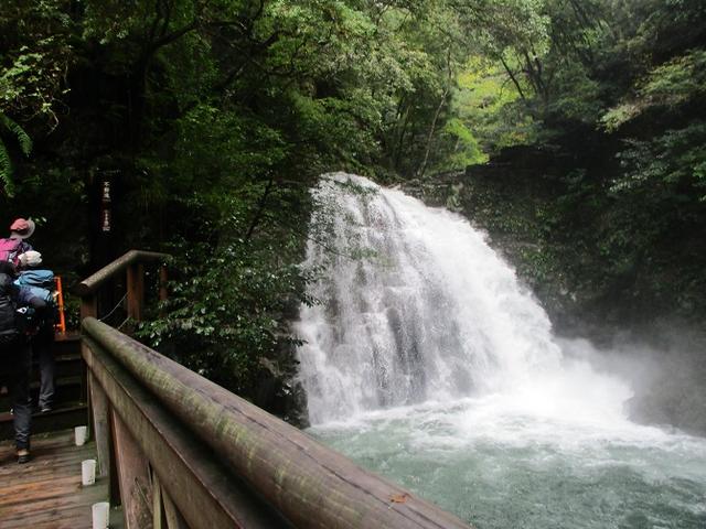 画像4: 10月22日から 大台ヶ原 ツアーに行ってきました!