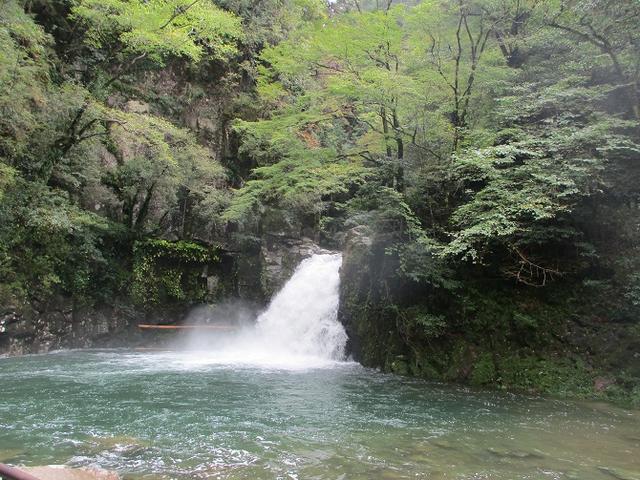 画像5: 10月22日から 大台ヶ原 ツアーに行ってきました!