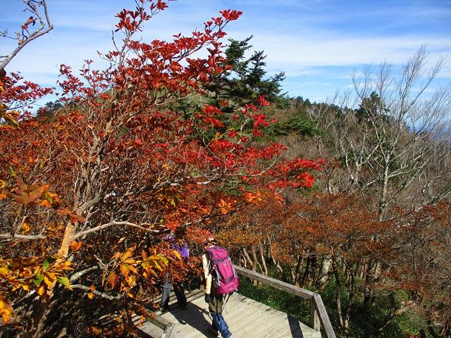 画像12: 先日10月23日より山旅会 大台ヶ原ツアー に行ってきました!