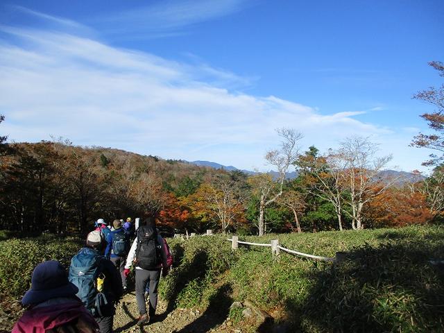 画像2: 先日10月23日より山旅会 大台ヶ原ツアー に行ってきました!