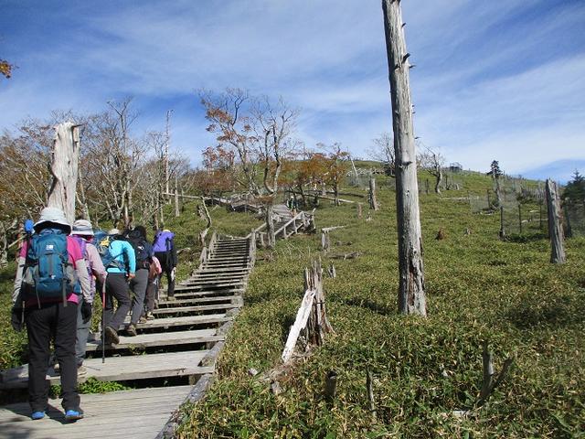 画像9: 先日10月23日より山旅会 大台ヶ原ツアー に行ってきました!