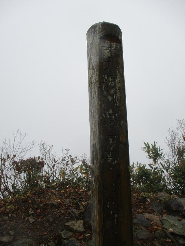 画像6: 10月24日に山旅会 「尼ヶ禿山」 ツアーに行ってきました!