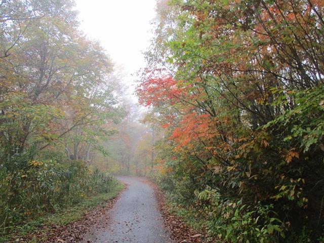 画像1: 10月24日に山旅会 「尼ヶ禿山」 ツアーに行ってきました!