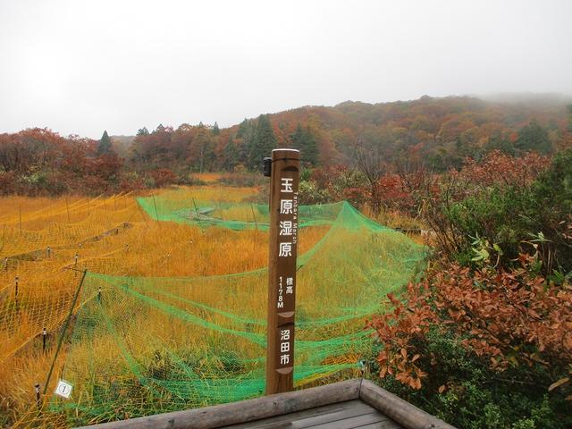 画像11: 10月24日に山旅会 「尼ヶ禿山」 ツアーに行ってきました!