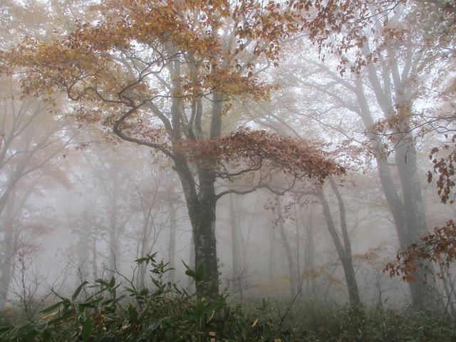 画像8: 10月24日に山旅会 「尼ヶ禿山」 ツアーに行ってきました!