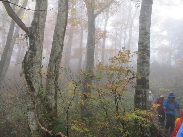 画像9: 10月24日に山旅会 「尼ヶ禿山」 ツアーに行ってきました!