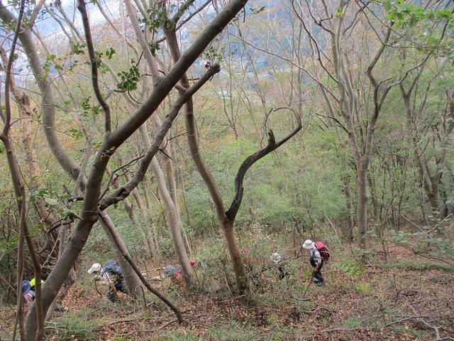 画像4: 10月26日に山旅会 「矢倉岳」 ツアーに行ってきました!