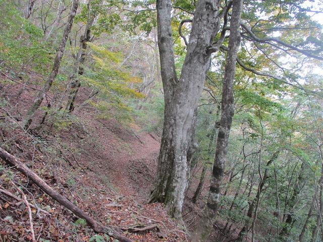 画像9: 11月の山旅会 烏帽子岳からパノラマ台 ツアーの下見に行ってきました!