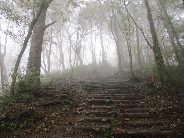 画像8: 11月の山旅会 青木ヶ原樹海と三湖台 ツアーの下見に行ってきました!