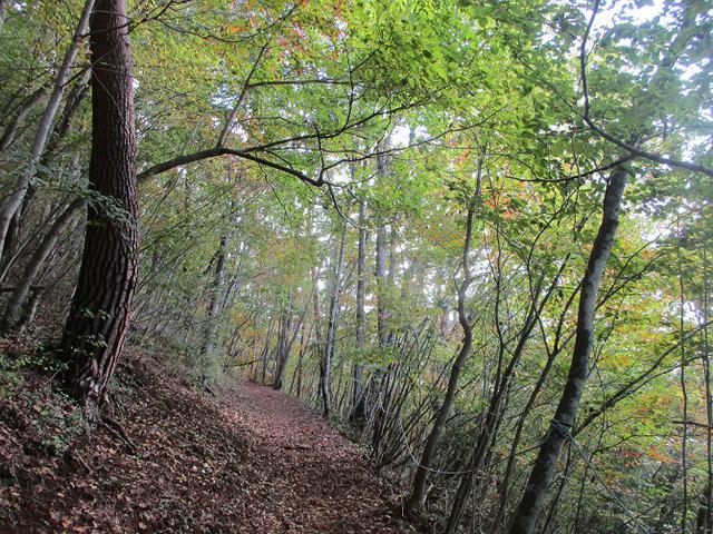 画像2: 11月の山旅会 蛾ヶ岳 の下見に行ってきました!