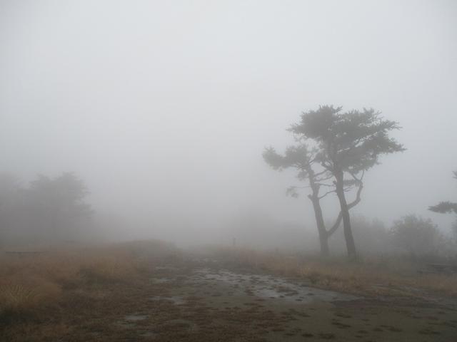 画像9: 11月の山旅会 青木ヶ原樹海と三湖台 ツアーの下見に行ってきました!