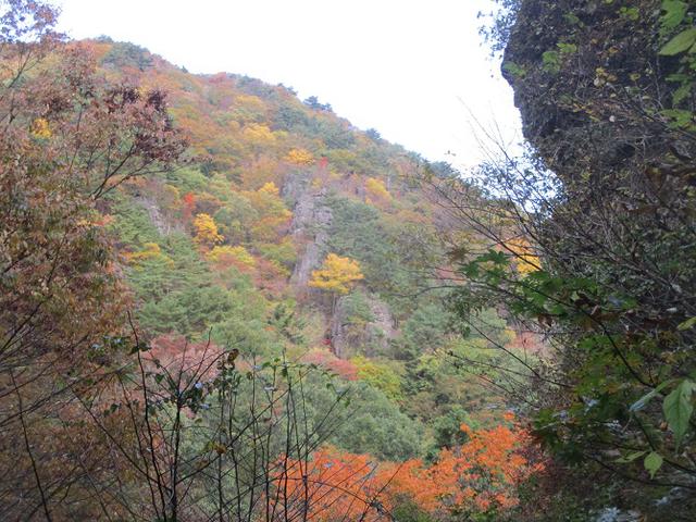 画像13: 11月1日に山旅会 「霊山」 ツアーに行ってきました!