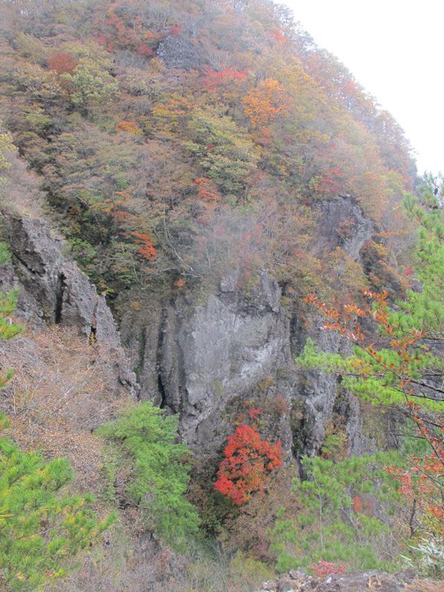 画像8: 11月1日に山旅会 「霊山」 ツアーに行ってきました!