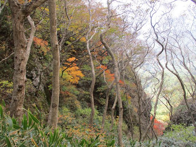 画像7: 11月1日に山旅会 「霊山」 ツアーに行ってきました!
