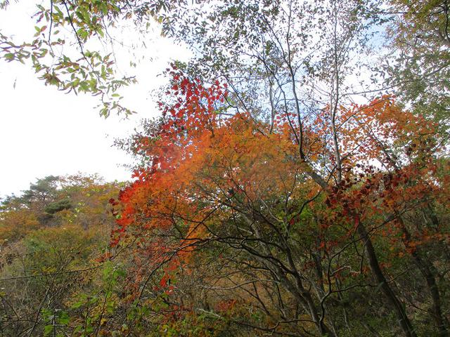 画像6: 11月1日に山旅会 「霊山」 ツアーに行ってきました!