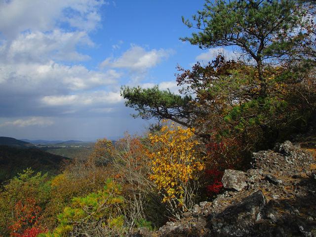 画像11: 11月1日に山旅会 「霊山」 ツアーに行ってきました!
