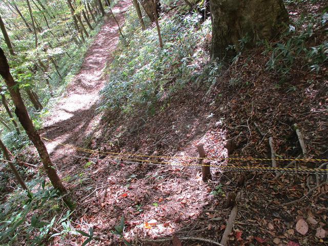 画像14: 11月の山旅会 八溝山 の下見に行ってきました!