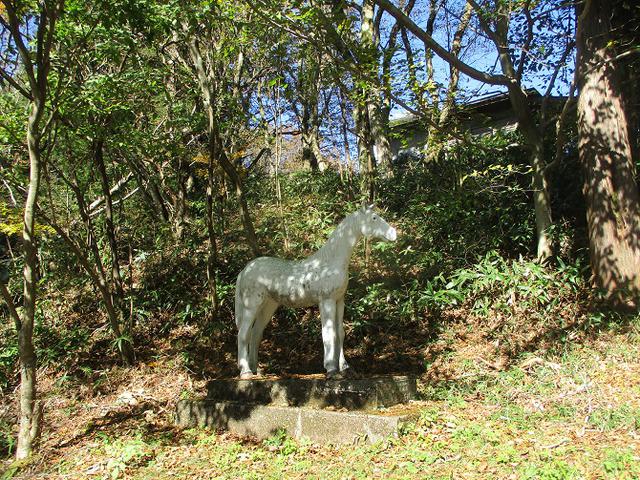 画像9: 11月の山旅会 八溝山 の下見に行ってきました!