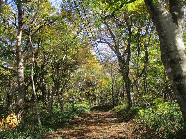 画像6: 11月の山旅会 八溝山 の下見に行ってきました!