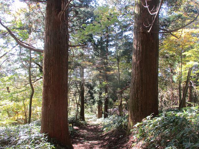 画像11: 11月の山旅会 八溝山 の下見に行ってきました!