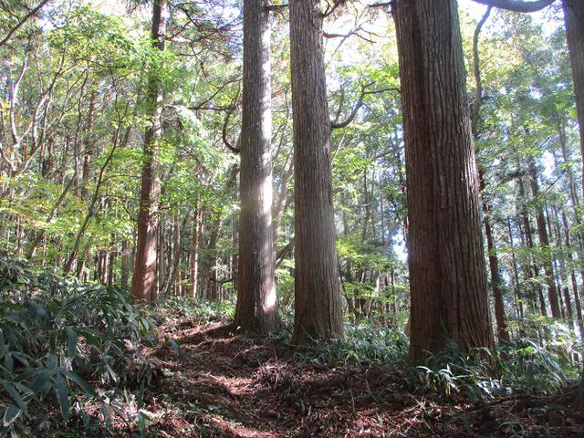 画像4: 11月の山旅会 八溝山 の下見に行ってきました!