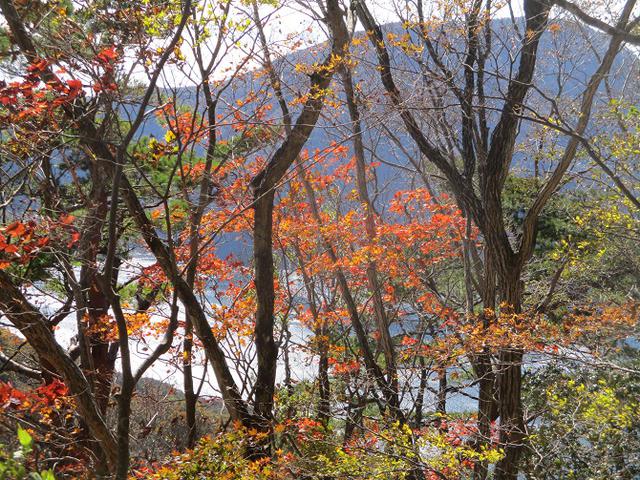画像4: 11月7日に山旅会 烏帽子岳からパノラマ台 ツアーに行ってきました!