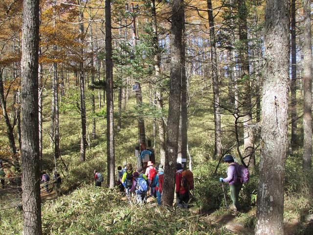 画像5: 11月6日に山旅会 「日向山」 ツアーに行ってきました!
