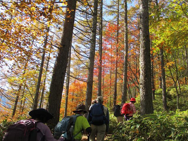画像2: 11月6日に山旅会 「日向山」 ツアーに行ってきました!