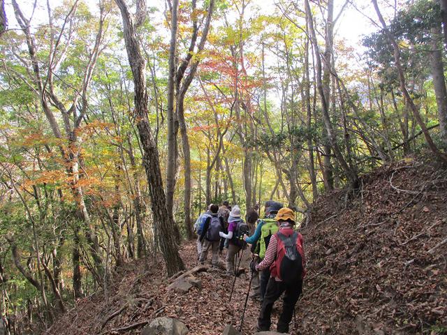画像9: 11月7日に山旅会 烏帽子岳からパノラマ台 ツアーに行ってきました!