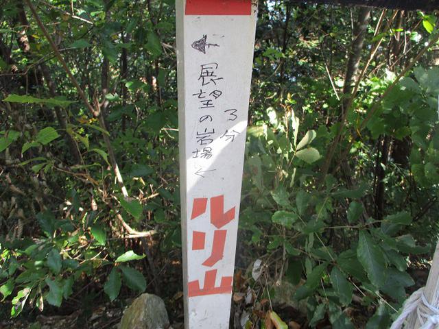画像7: 11月の山旅会 「香嵐渓と鳳来寺山」 の下見に行ってきました!