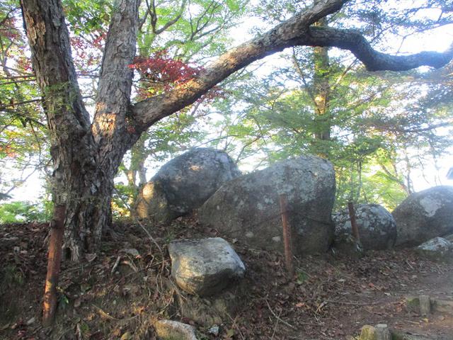 画像7: 11月の山旅会「香嵐渓と鳳来寺山」の下見に行ってきました!