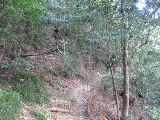 画像3: 11月の山旅会 「香嵐渓と鳳来寺山」 の下見に行ってきました!