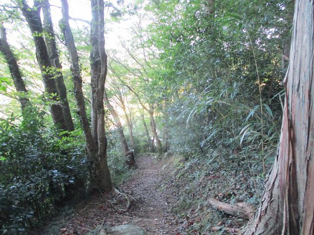 画像8: 11月の山旅会「香嵐渓と鳳来寺山」の下見に行ってきました!