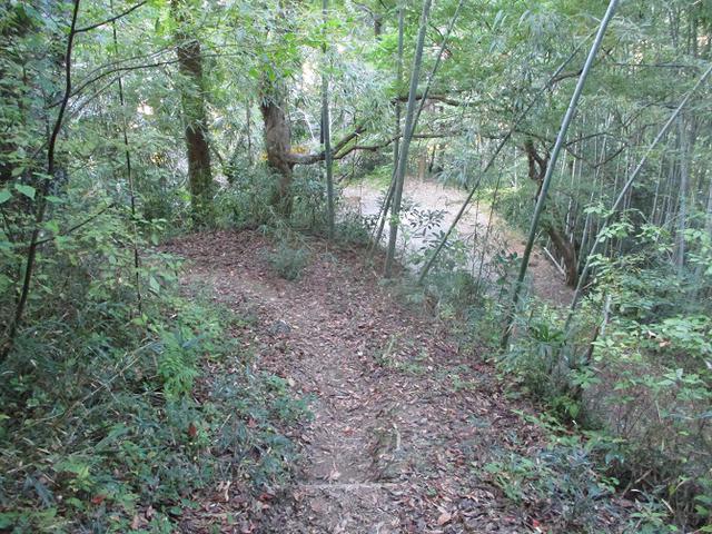 画像9: 11月の山旅会「香嵐渓と鳳来寺山」の下見に行ってきました!