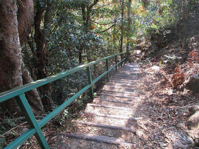 画像10: 11月の山旅会 「香嵐渓と鳳来寺山」 の下見に行ってきました!