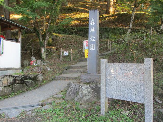 画像3: 11月の山旅会「香嵐渓と鳳来寺山」の下見に行ってきました!
