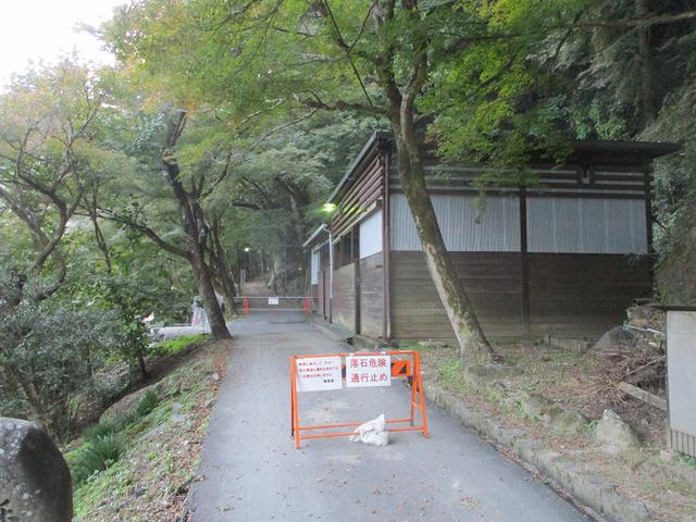 画像10: 11月の山旅会「香嵐渓と鳳来寺山」の下見に行ってきました!
