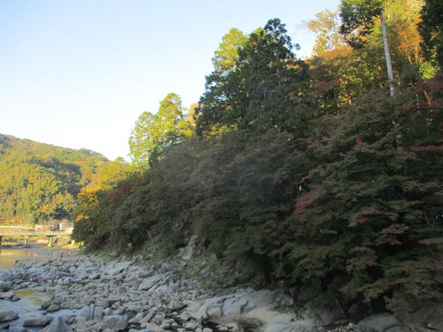 画像2: 11月の山旅会「香嵐渓と鳳来寺山」の下見に行ってきました!