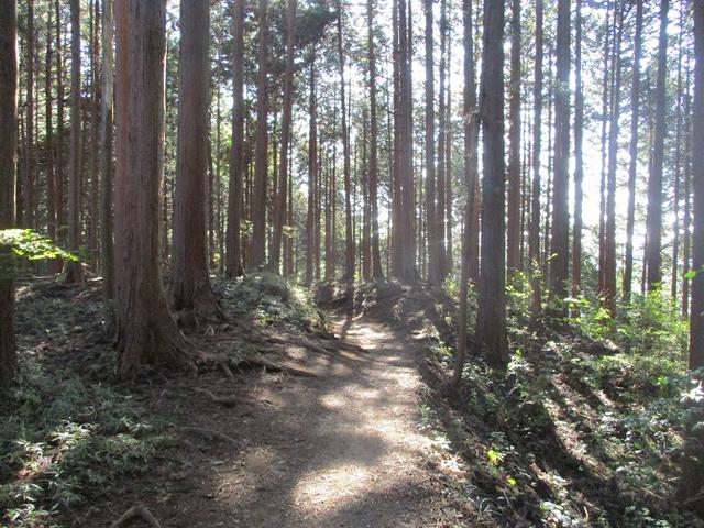 画像9: 本日は日の出山ツアーの下見のご報告です!