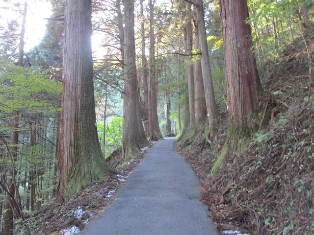 画像2: 本日は日の出山ツアーの下見のご報告です!