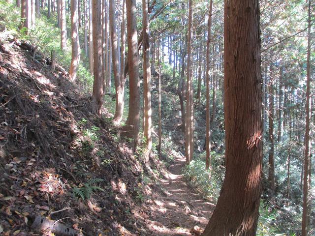 画像12: 本日は日の出山ツアーの下見のご報告です!