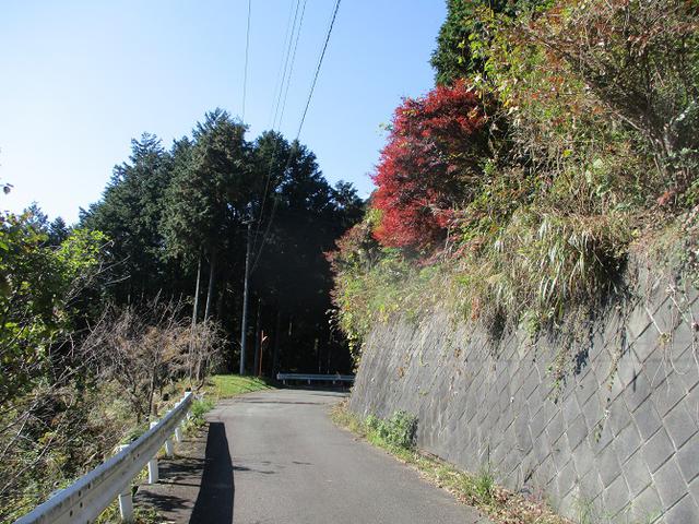 画像14: 本日は日の出山ツアーの下見のご報告です!