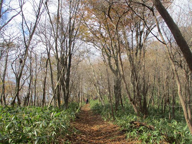 画像5: 11月14日に山旅会 八溝山 ツアーに行ってきました!