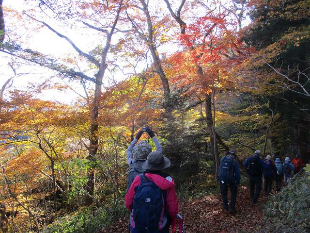画像10: 11月14日に山旅会 八溝山 ツアーに行ってきました!