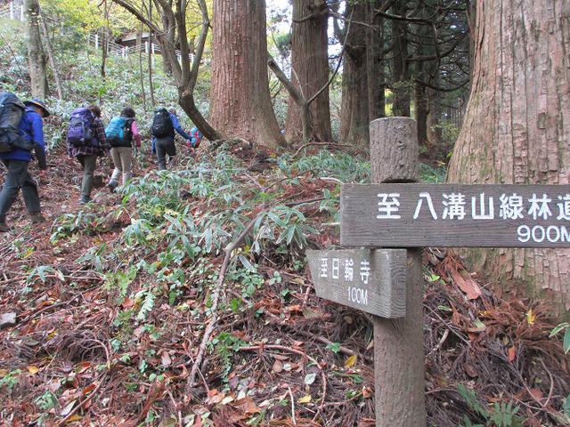 画像3: 11月14日に山旅会 八溝山 ツアーに行ってきました!