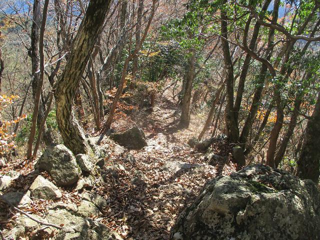 画像6: 11月の山旅会 都民の森から槙寄山 ツアーの下見に行ってきました!