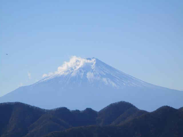 画像9: 11月の山旅会 都民の森から槙寄山 ツアーの下見に行ってきました!